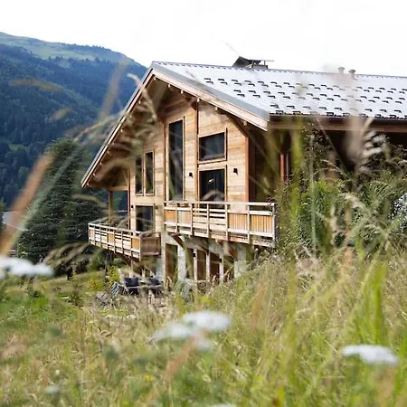 Chalet Magnifique Mitoyen - Jacuzzi - Cousinade Ii